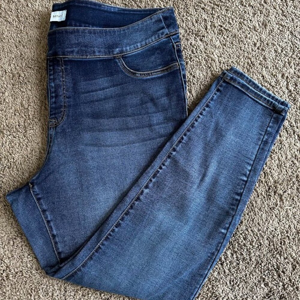 Lane Bryant Jeggings​